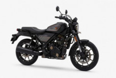 Harga Setara Motor Jepang, Harley-Davidson X440 Siap Jadi Motor Impian Anak Muda