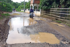 Bak Kembali ke Masa Lalu, Jalan Desa Tanjung Kupang Rusak Parah, Warga Keluhkan Akses dan Keselamatan