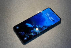 Performa Kencang Harga Bersahabat, Oppo Reno 13 F4G Cocok untuk Multitasking